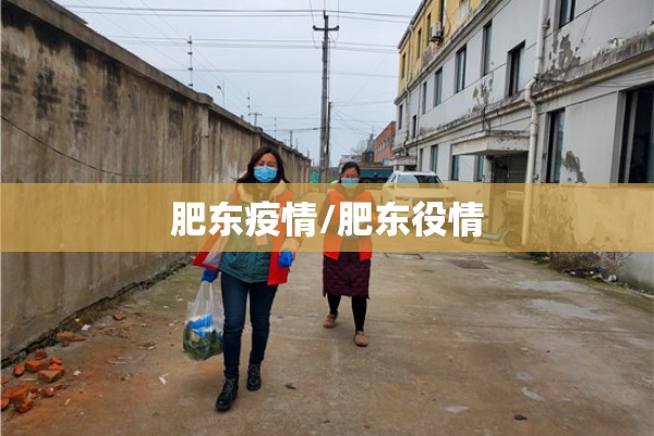 肥东疫情/肥东役情 肥东疫情/肥东役情