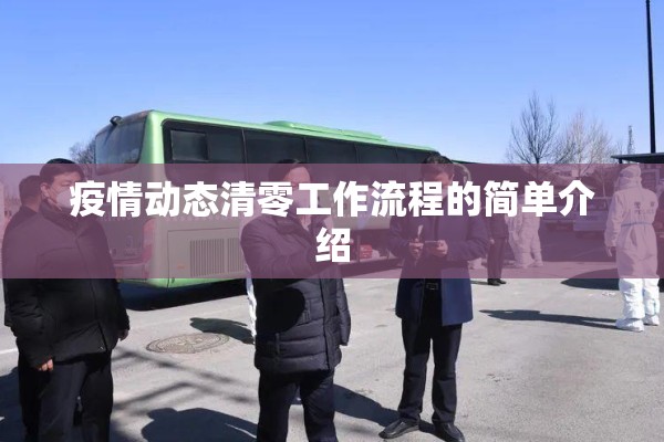 疫情动态清零工作流程的简单介绍