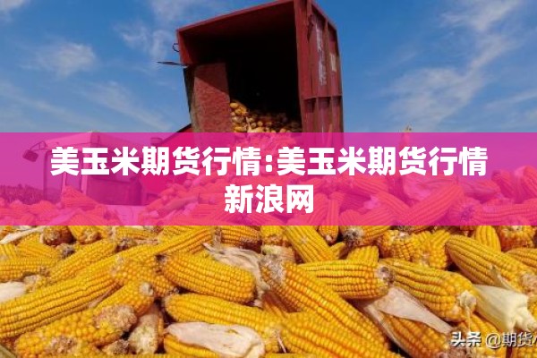 美玉米期货行情:美玉米期货行情新浪网