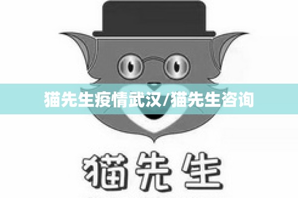猫先生疫情武汉/猫先生咨询