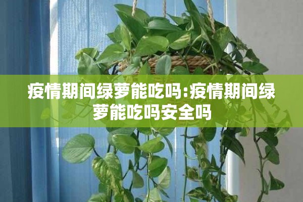 疫情期间绿萝能吃吗:疫情期间绿萝能吃吗安全吗