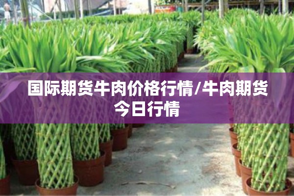 国际期货牛肉价格行情/牛肉期货今日行情