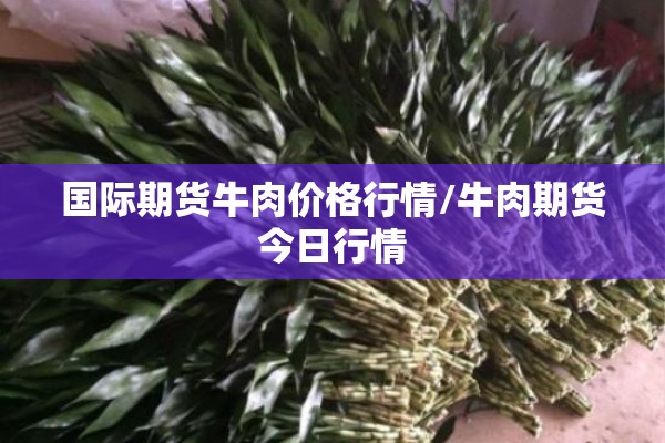 国际期货牛肉价格行情/牛肉期货今日行情