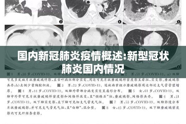 国内新冠肺炎疫情概述:新型冠状肺炎国内情况 国内新冠肺炎疫情概述:新型冠状肺炎国内情况