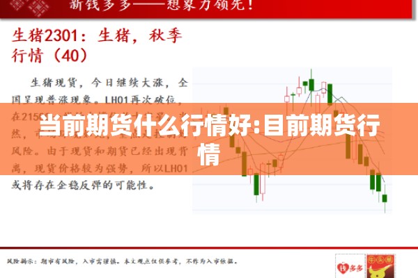 当前期货什么行情好:目前期货行情