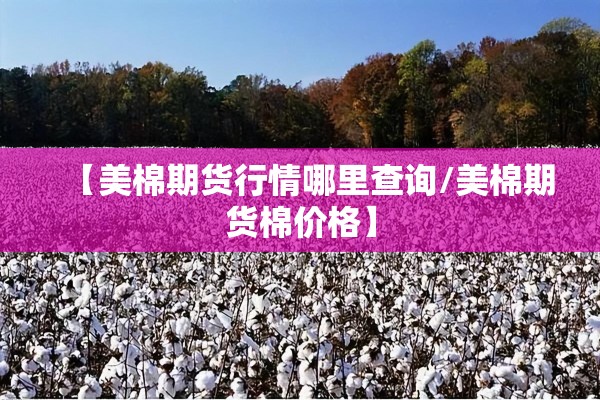 【美棉期货行情哪里查询/美棉期货棉价格】