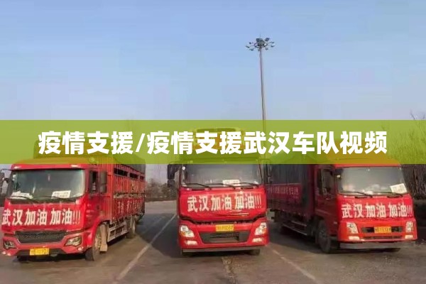疫情支援/疫情支援武汉车队视频