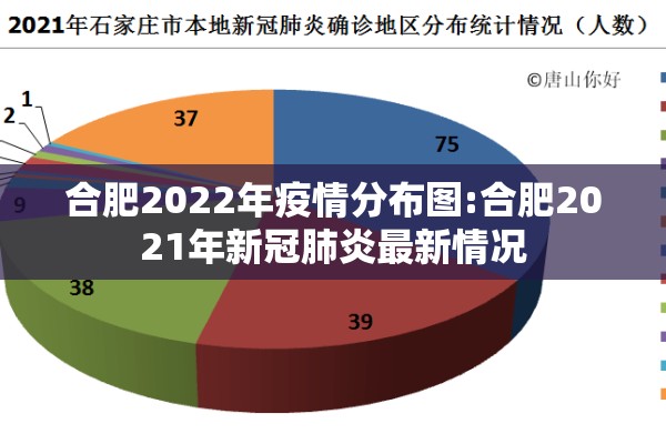 合肥2022年疫情分布图:合肥2021年新冠肺炎最新情况