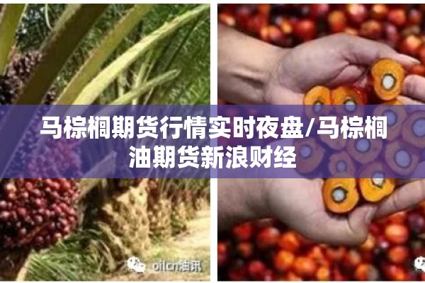 马棕榈期货行情实时夜盘/马棕榈油期货新浪财经