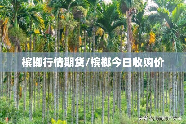 槟榔行情期货/槟榔今日收购价