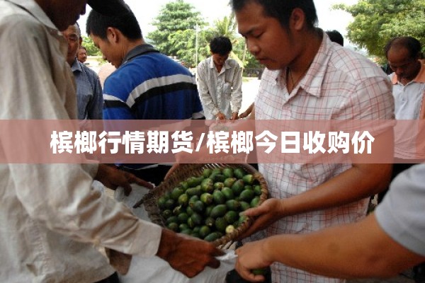 槟榔行情期货/槟榔今日收购价