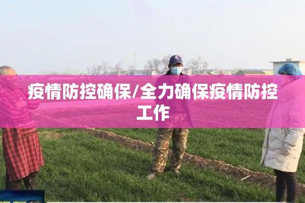 疫情防控确保/全力确保疫情防控工作