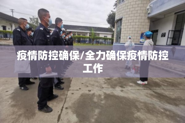 疫情防控确保/全力确保疫情防控工作