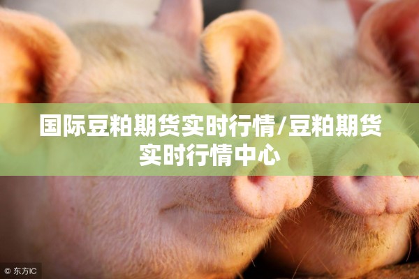 国际豆粕期货实时行情/豆粕期货实时行情中心