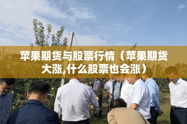 苹果期货与股票行情(苹果期货大涨,什么股票也会涨) 苹果期货与股票行情(苹果期货大涨,什么股票也会涨)