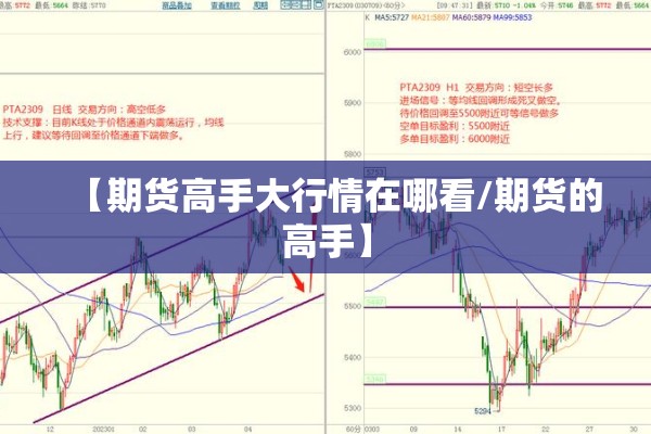 【期货高手大行情在哪看/期货的高手】 【期货高手大行情在哪看/期货的高手】