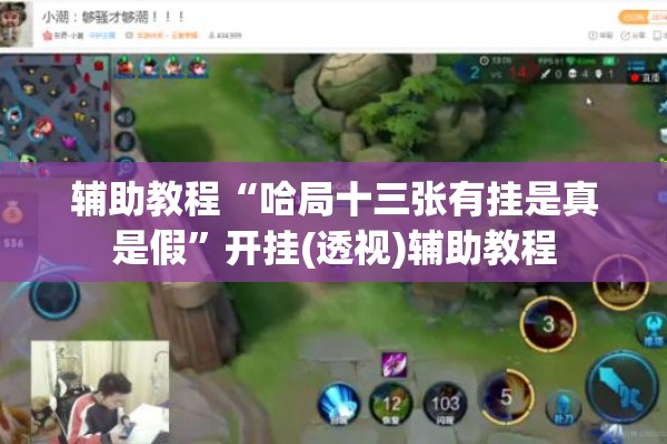 辅助教程“哈局十三张有挂是真是假”开挂(透视)辅助教程