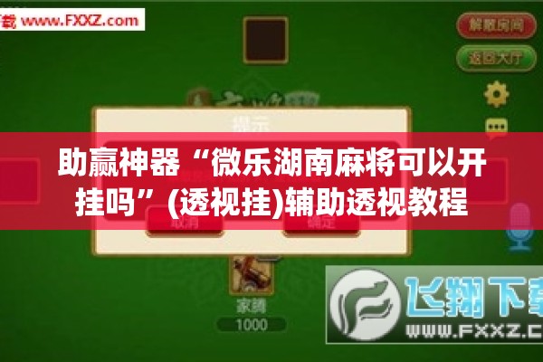 助赢神器“微乐湖南麻将可以开挂吗”(透视挂)辅助透视教程