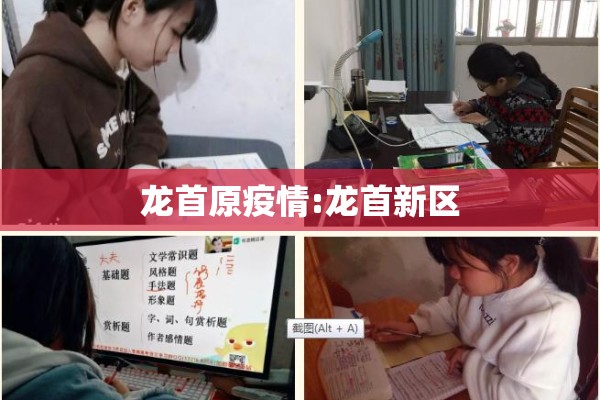龙首原疫情:龙首新区 龙首原疫情:龙首新区