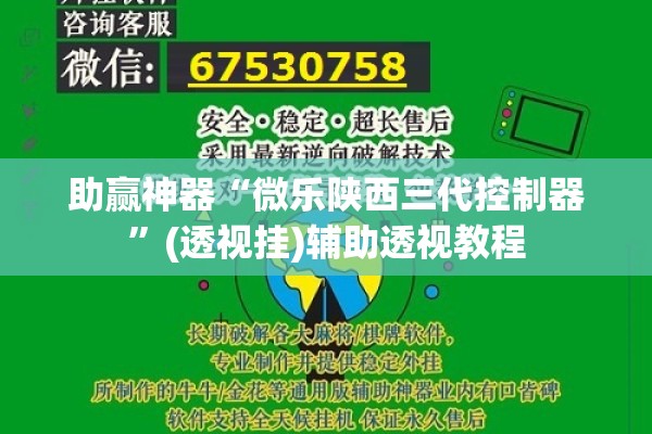助赢神器“微乐陕西三代控制器”(透视挂)辅助透视教程