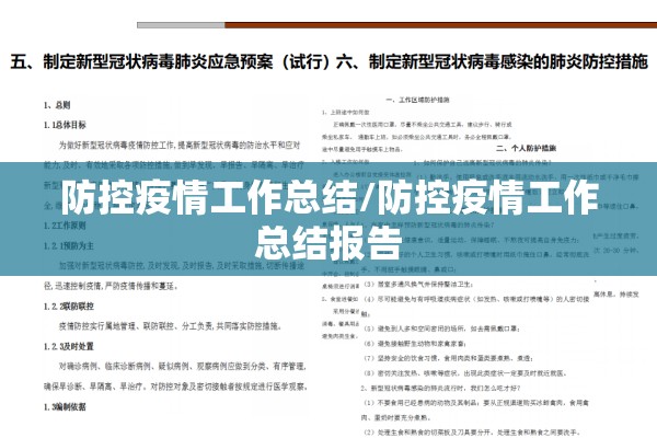 防控疫情工作总结/防控疫情工作总结报告 防控疫情工作总结/防控疫情工作总结报告