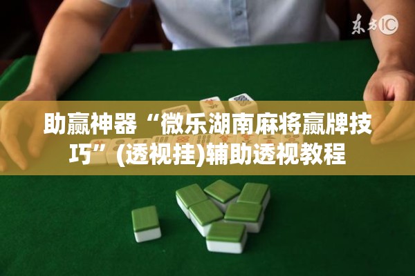 助赢神器“微乐湖南麻将赢牌技巧”(透视挂)辅助透视教程