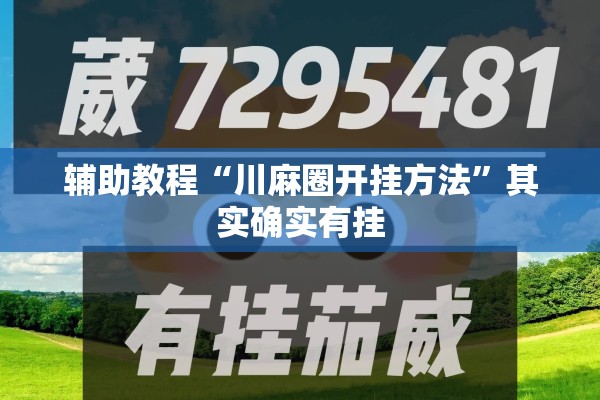 辅助教程“川麻圈开挂方法	”其实确实有挂