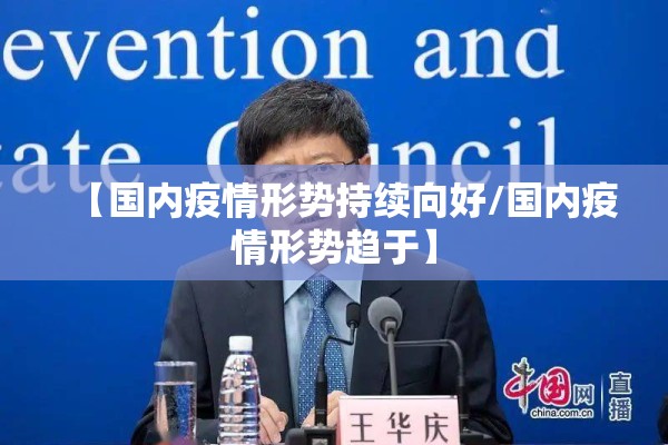 【国内疫情形势持续向好/国内疫情形势趋于】