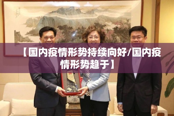 【国内疫情形势持续向好/国内疫情形势趋于】