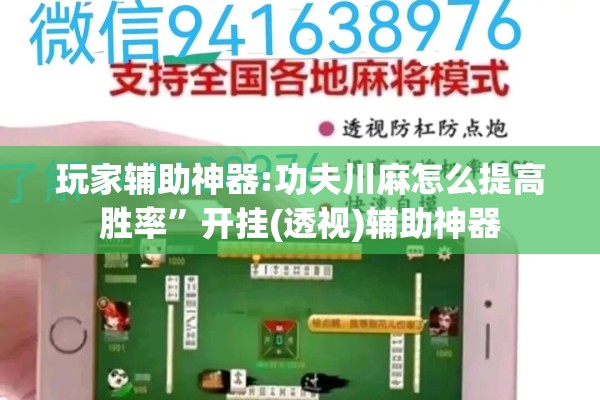 玩家辅助神器:功夫川麻怎么提高胜率”开挂(透视)辅助神器