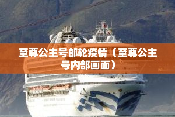 至尊公主号邮轮疫情(至尊公主号内部画面) 至尊公主号邮轮疫情(至尊公主号内部画面)