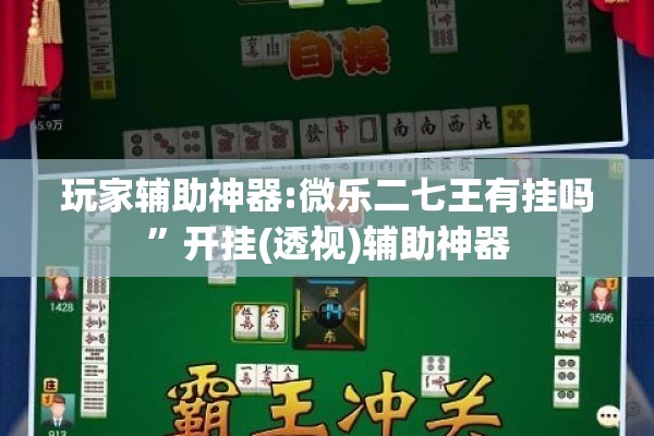 玩家辅助神器:微乐二七王有挂吗”开挂(透视)辅助神器