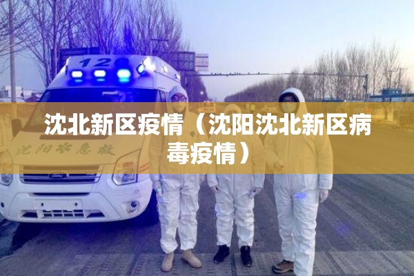 沈北新区疫情（沈阳沈北新区病毒疫情）