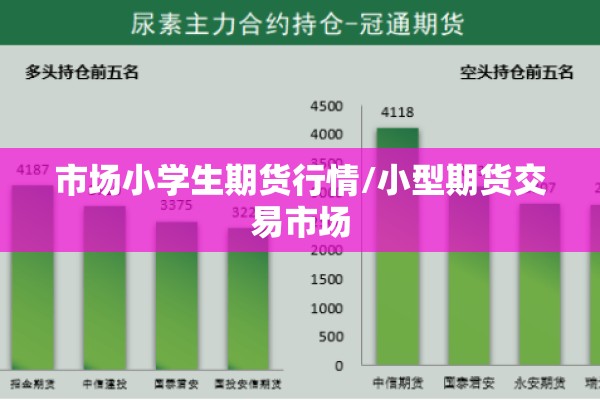 市场小学生期货行情/小型期货交易市场 市场小学生期货行情/小型期货交易市场