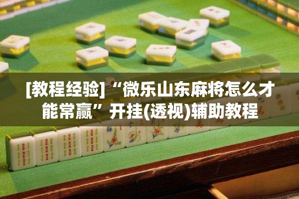 [教程经验]“微乐山东麻将怎么才能常赢	”开挂(透视)辅助教程
