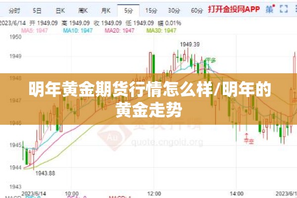 明年黄金期货行情怎么样/明年的黄金走势