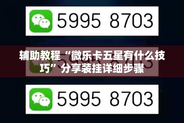 辅助教程“微乐卡五星有什么技巧”分享装挂详细步骤