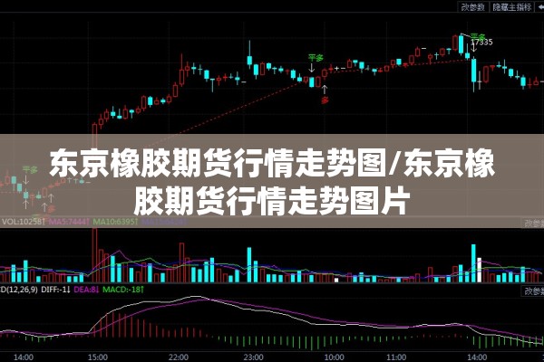 东京橡胶期货行情走势图/东京橡胶期货行情走势图片 东京橡胶期货行情走势图/东京橡胶期货行情走势图片
