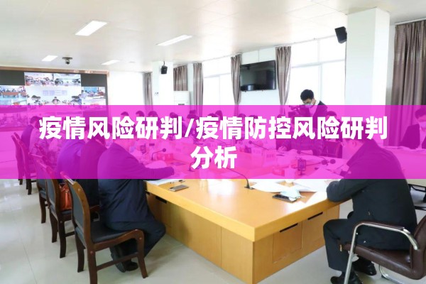 疫情风险研判/疫情防控风险研判分析 疫情风险研判/疫情防控风险研判分析