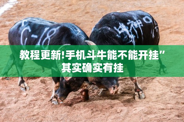教程更新!手机斗牛能不能开挂”其实确实有挂