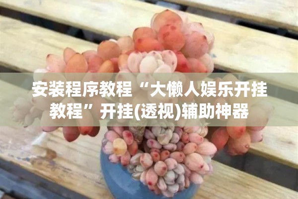 安装程序教程“大懒人娱乐开挂教程”开挂(透视)辅助神器