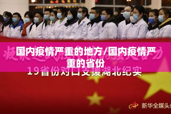 国内疫情严重的地方/国内疫情严重的省份