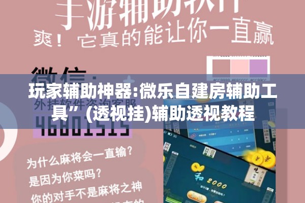 玩家辅助神器:微乐自建房辅助工具	”(透视挂)辅助透视教程