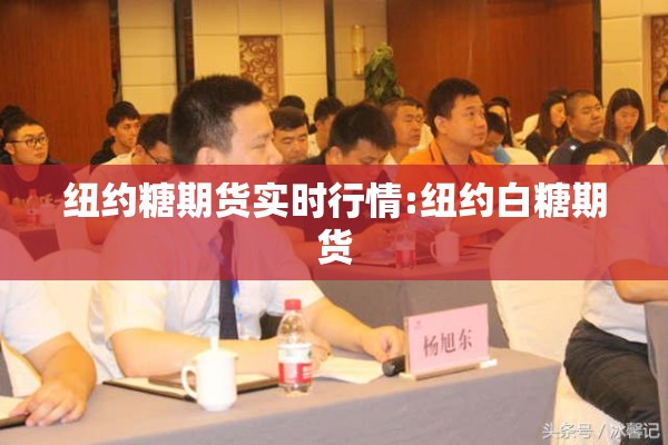 纽约糖期货实时行情:纽约白糖期货