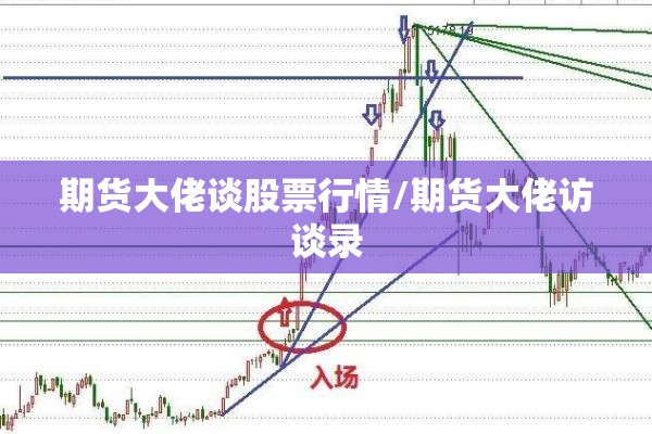 期货大佬谈股票行情/期货大佬访谈录