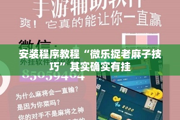 安装程序教程“微乐捉老麻子技巧”其实确实有挂
