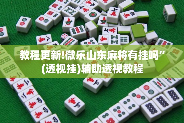 教程更新!微乐山东麻将有挂吗”(透视挂)辅助透视教程