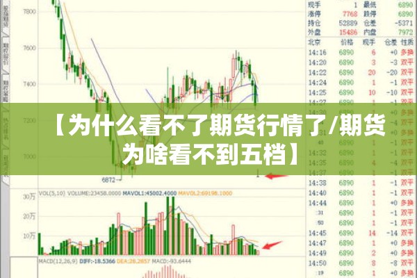 【为什么看不了期货行情了/期货为啥看不到五档】