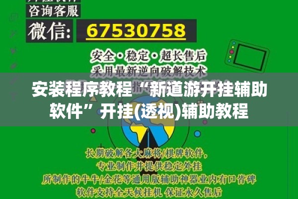 安装程序教程“新道游开挂辅助软件	”开挂(透视)辅助教程