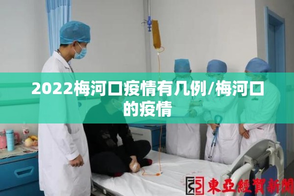 2022梅河口疫情有几例/梅河口的疫情 2022梅河口疫情有几例/梅河口的疫情